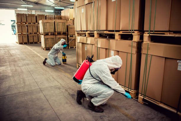 Best Pest Prevention Services  in Moorpark, CA