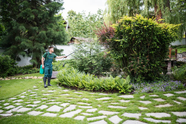 Best Pest Prevention Services  in Moorpark, CA