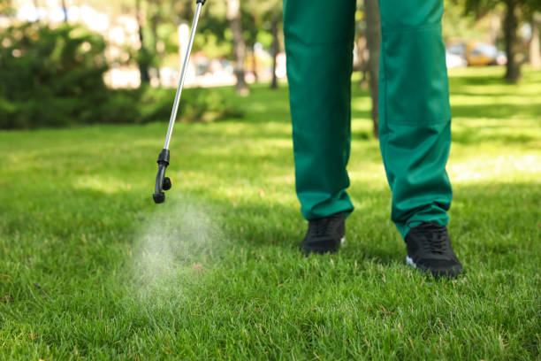 Best Mosquito Control Services  in Moorpark, CA