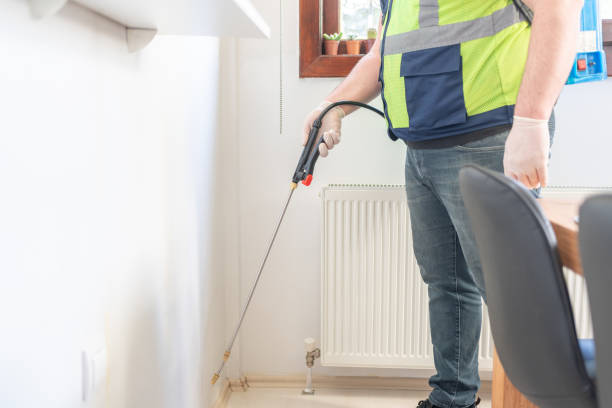 Best Pest Control Near Me  in Moorpark, CA
