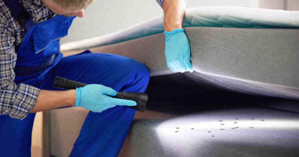 Best Best Pest Control Companies  in Moorpark, CA
