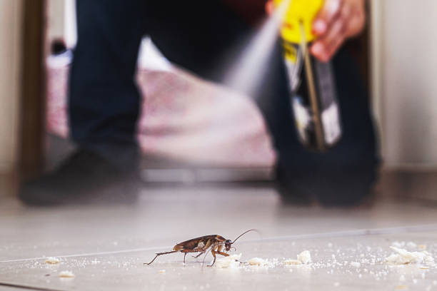 Best Residential Pest Control  in Moorpark, CA